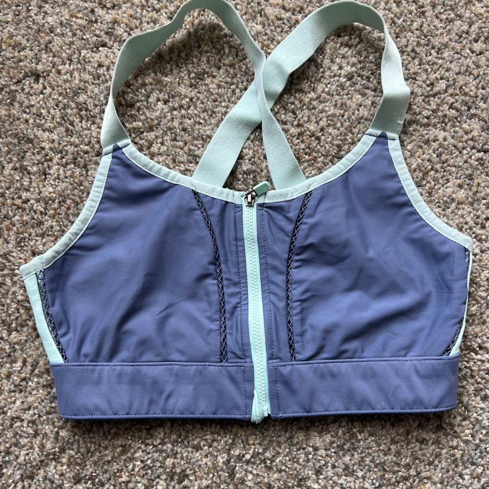 Fabletics Blue and Mint Sports Bra